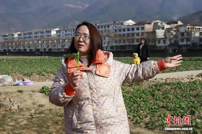 ͼΪ������ԱΧ�ƶ����Ͳ˹ܻ��ؼ�Ҫ�㽲�⡣ ��ܰ�� ��