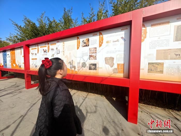 ��������Ժ�ٰ��������ȫ����Ф�Ļ�����չ�������� ��