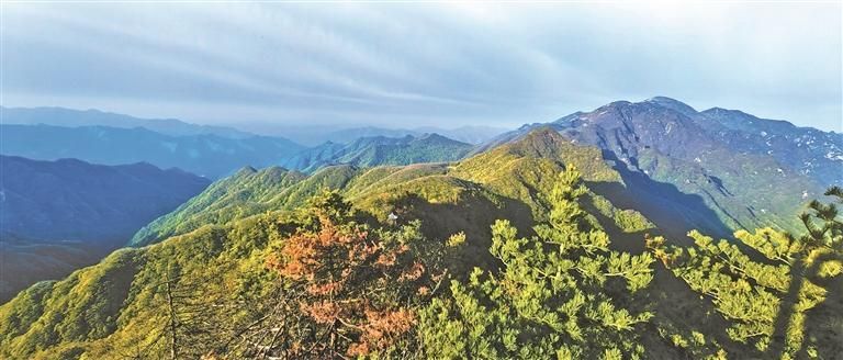 ���ⰻȻ������ţ����(������Ƭ)��ţ��������ɭ�ֹ�԰��ͼ